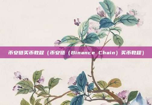 币安链买币教程（币安链（Binance Chain）买币教程）