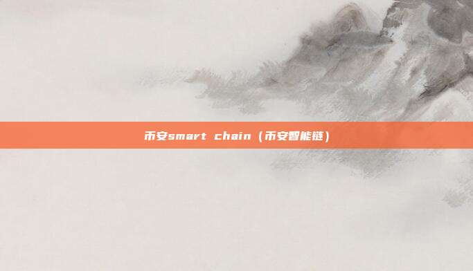 币安smart chain（币安智能链）