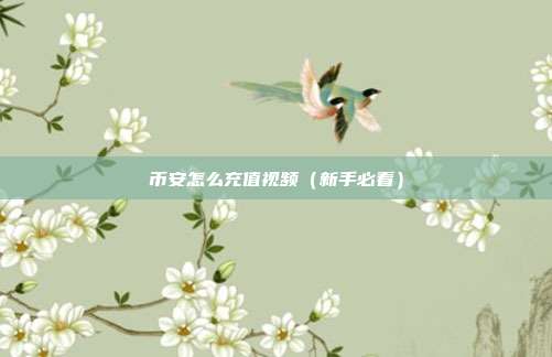 币安怎么充值视频（新手必看）