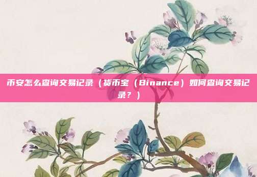 币安怎么查询交易记录（货币宝（Binance）如何查询交易记录？）