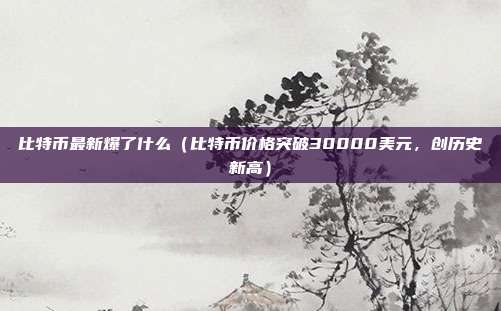 比特币最新爆了什么（比特币价格突破30000美元，创历史新高）