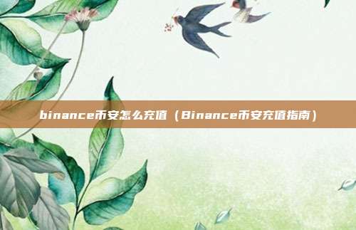 binance币安怎么充值（Binance币安充值指南）