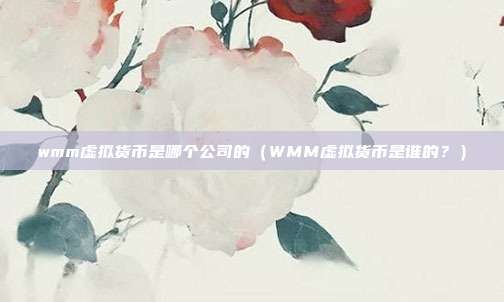 wmm虚拟货币是哪个公司的（WMM虚拟货币是谁的？）