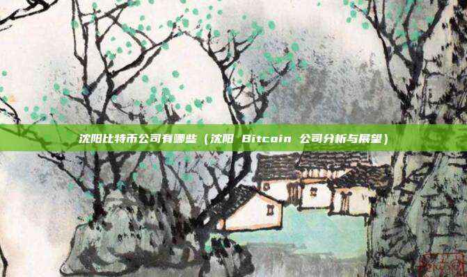 沈阳比特币公司有哪些（沈阳 Bitcoin 公司分析与展望）