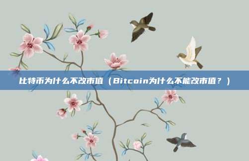 比特币为什么不改市值（Bitcoin为什么不能改市值？）