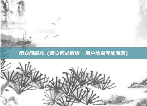 币安网曝光（币安网被调查，用户信息可能泄露）