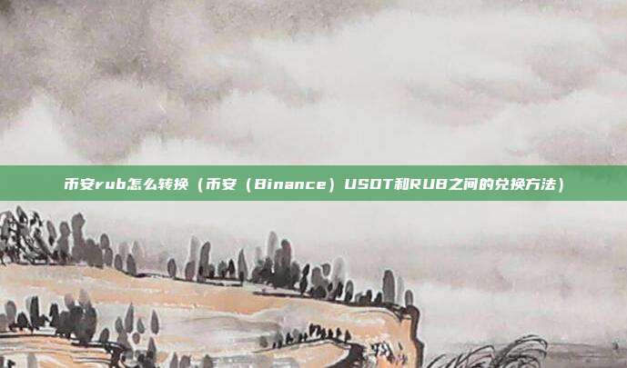 币安rub怎么转换（币安（Binance）USDT和RUB之间的兑换方法）