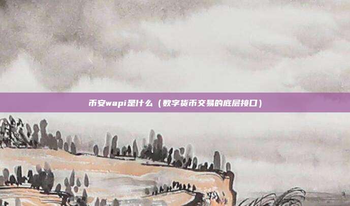 币安wapi是什么（数字货币交易的底层接口）