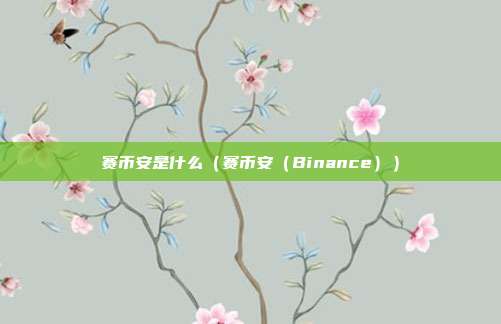 赛币安是什么（赛币安（Binance））