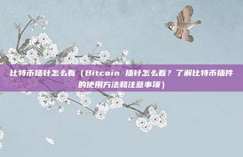 比特币插针怎么看（Bitcoin 插针怎么看？了解比特币插件的使用方法和注意事项）