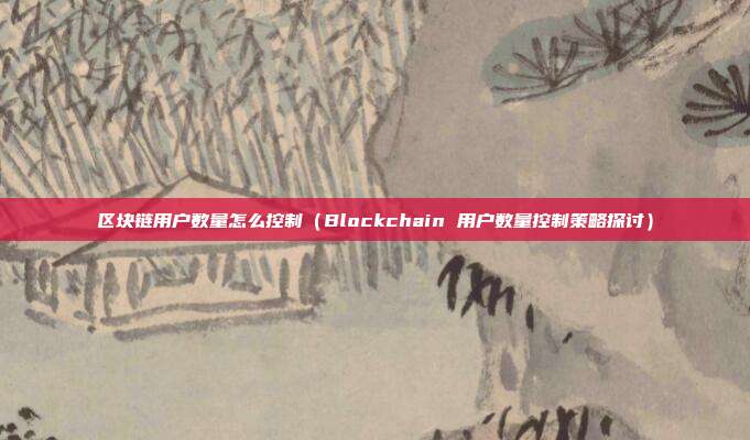 区块链用户数量怎么控制（Blockchain 用户数量控制策略探讨）