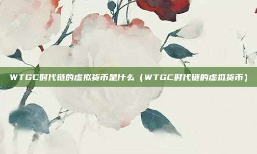 WTGC时代链的虚拟货币是什么（WTGC时代链的虚拟货币）