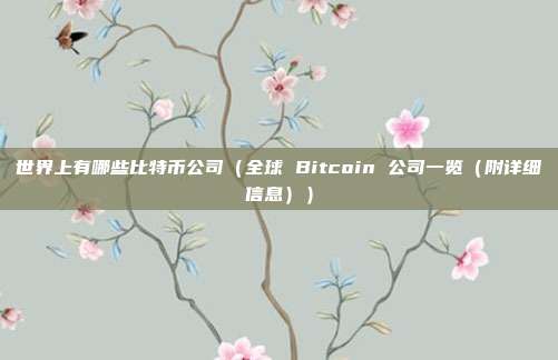 世界上有哪些比特币公司（全球 Bitcoin 公司一览（附详细信息））