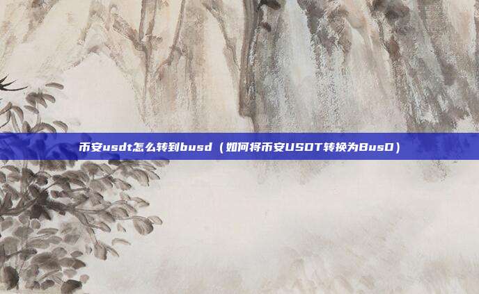 币安usdt怎么转到busd（如何将币安USDT转换为BusD）