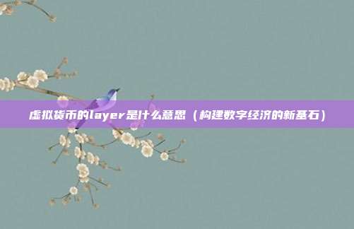 虚拟货币的layer是什么意思（构建数字经济的新基石）