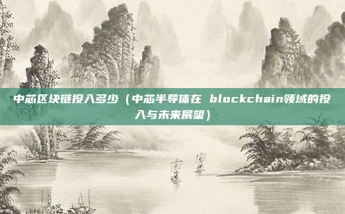 中芯区块链投入多少（中芯半导体在 blockchain领域的投入与未来展望）