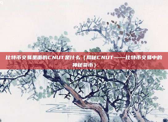 比特币交易里面的CNUT是什么（揭秘CNUT——比特币交易中的神秘货币）