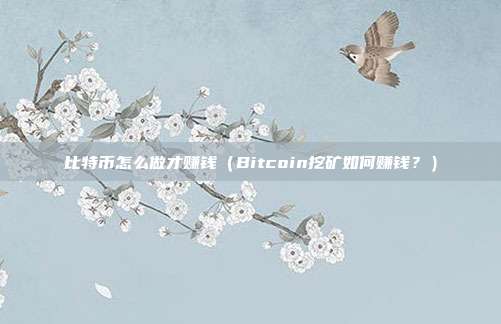 比特币怎么做才赚钱（Bitcoin挖矿如何赚钱？）