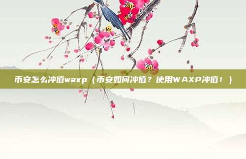 币安怎么冲值waxp（币安如何冲值？使用WAXP冲值！）