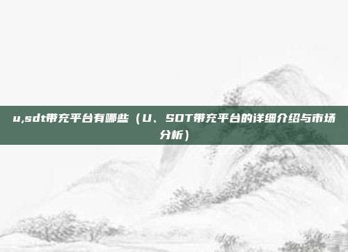 u,sdt带充平台有哪些（U、SDT带充平台的详细介绍与市场分析）