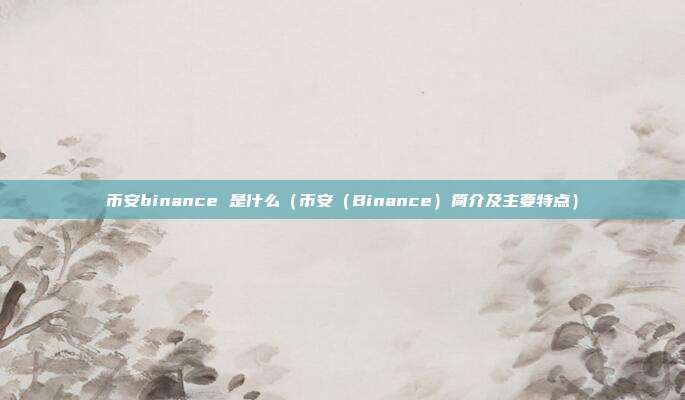 币安binance 是什么（币安（Binance）简介及主要特点）