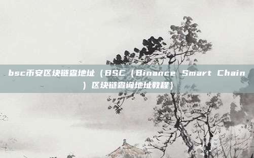 bsc币安区块链查地址（BSC（Binance Smart Chain）区块链查询地址教程）