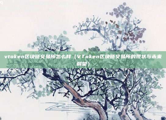 vtoken区块链交易所怎么样（VToken区块链交易所的现状与未来展望）