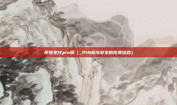 币安支付pin码（_PIN码与安全的完美结合）