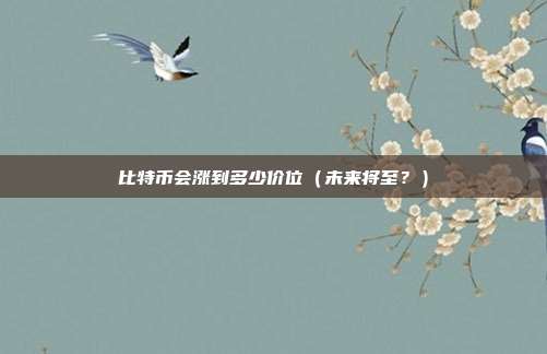 比特币会涨到多少价位（未来将至？）