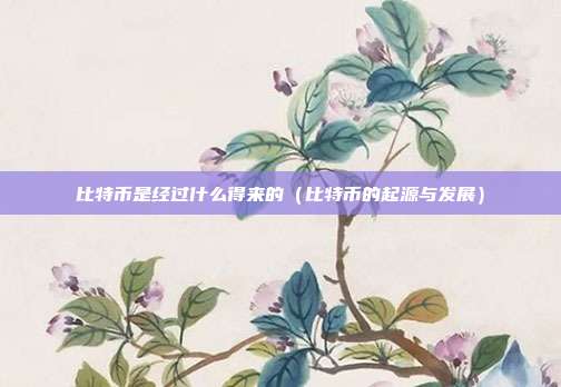 比特币是经过什么得来的（比特币的起源与发展）