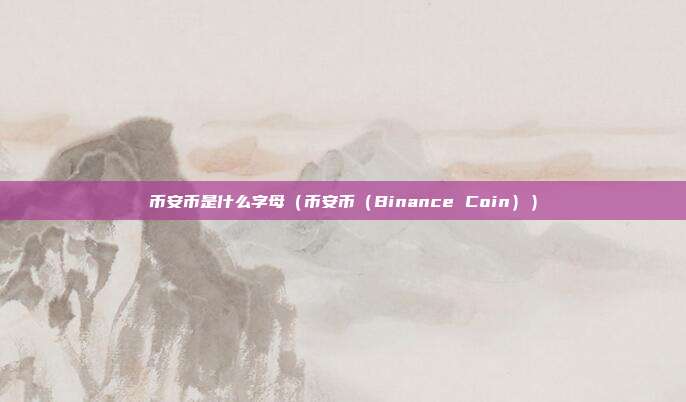 币安币是什么字母（币安币（Binance Coin））