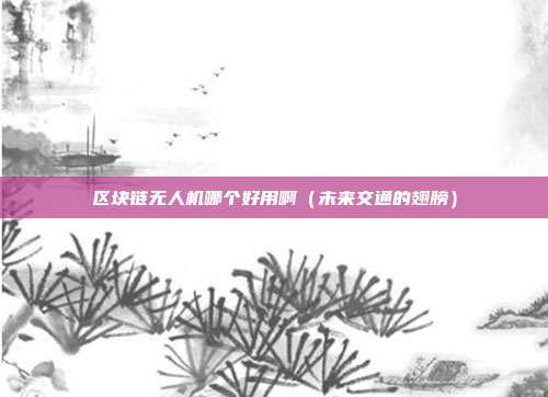 区块链无人机哪个好用啊（未来交通的翅膀）