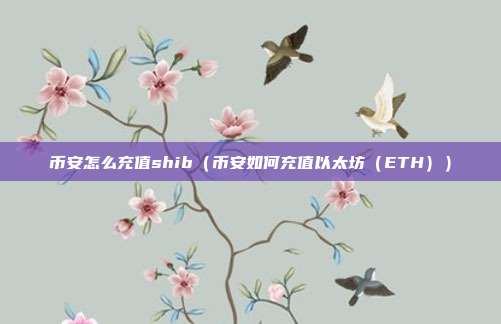 币安怎么充值shib（币安如何充值以太坊（ETH））