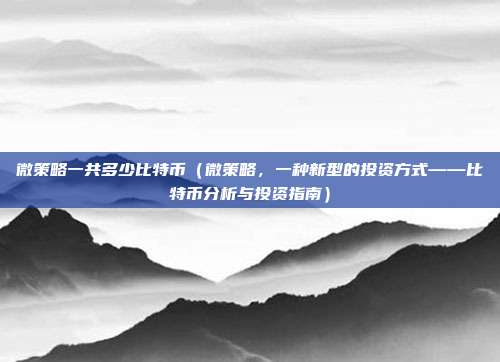 微策略一共多少比特币（微策略，一种新型的投资方式——比特币分析与投资指南）