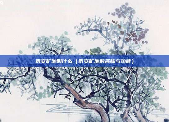 币安矿池叫什么（币安矿池的名称与功能）