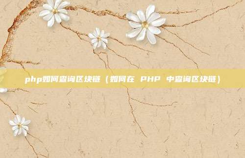 php如何查询区块链（如何在 PHP 中查询区块链）