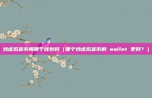 炒虚拟货币用哪个钱包好（哪个炒虚拟货币的 wallet 更好？）