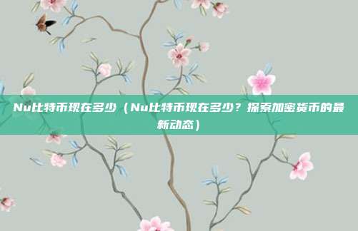 Nu比特币现在多少（Nu比特币现在多少？探索加密货币的最新动态）