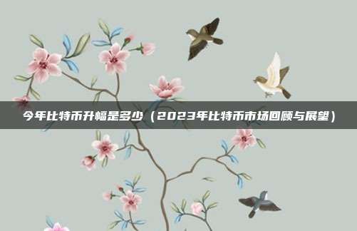 今年比特币升幅是多少（2023年比特币市场回顾与展望）