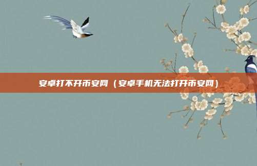 安卓打不开币安网（安卓手机无法打开币安网）