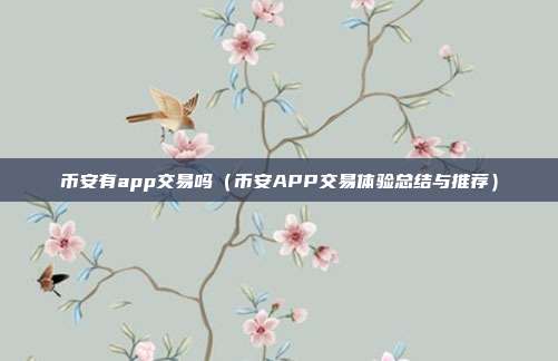 币安有app交易吗（币安APP交易体验总结与推荐）