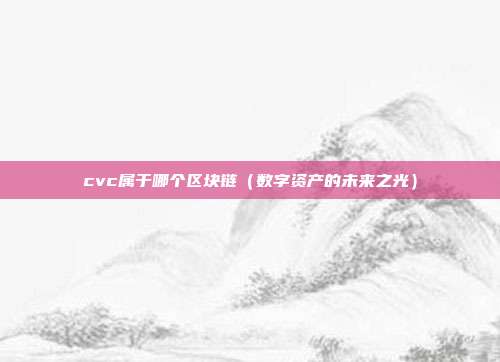 cvc属于哪个区块链（数字资产的未来之光）