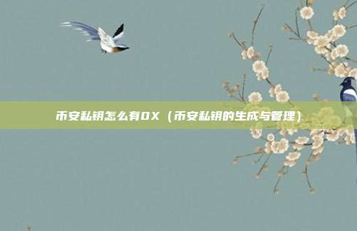 币安私钥怎么有0X（币安私钥的生成与管理）