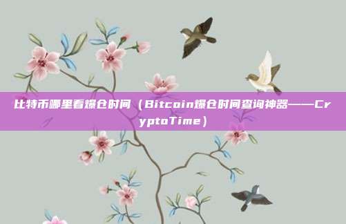 比特币哪里看爆仓时间（Bitcoin爆仓时间查询神器——CryptoTime）