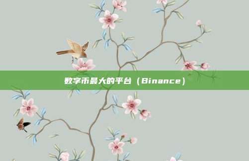 数字币最大的平台（Binance）