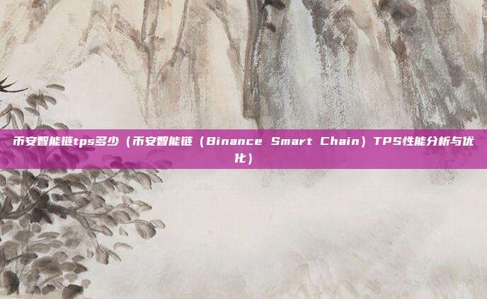 币安智能链tps多少（币安智能链（Binance Smart Chain）TPS性能分析与优化）