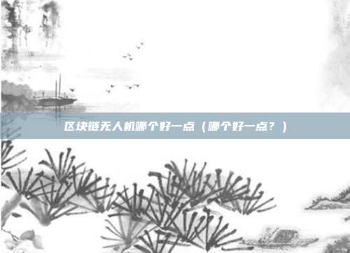 区块链无人机哪个好一点（哪个好一点？）