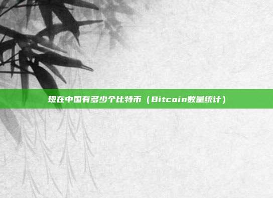 现在中国有多少个比特币（Bitcoin数量统计）