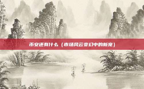 币安还有什么（市场风云变幻中的新宠）