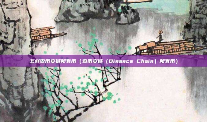 怎样查币安链所有币（查币安链（Binance Chain）所有币）